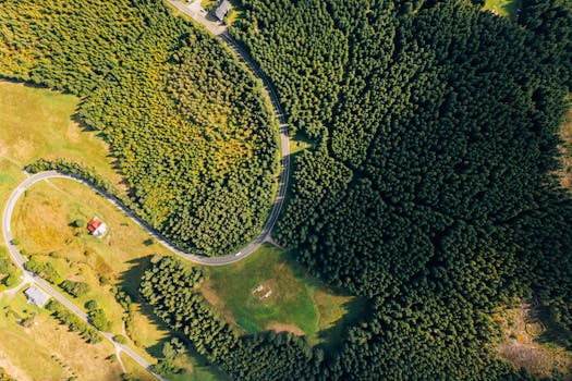 Jak najít spolehlivé informace o licencích kasin v ČR?