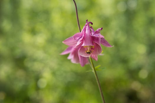 Live vs. Online Kasina v ČR: Klíčové Rozdíly pro Hráče